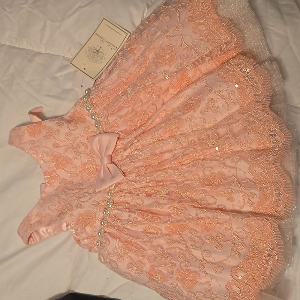 Toddler NWT COUTURE PRINCESS 18 MONTHS PINK Formal dress